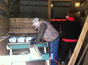 Measuring for the nesting boxes. 