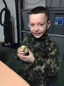 Ethan had quick hands to catch a chick. 